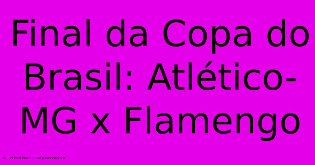 Final Da Copa Do Brasil: Atlético-MG X Flamengo