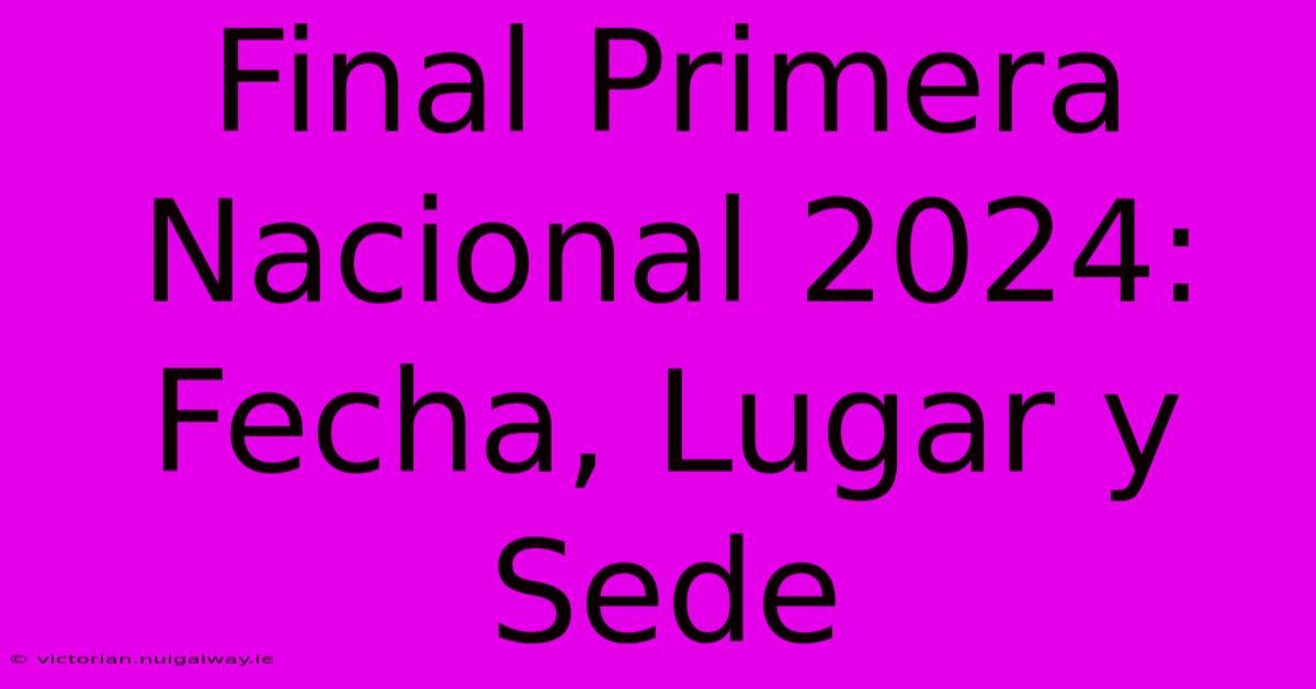 Final Primera Nacional 2024: Fecha, Lugar Y Sede