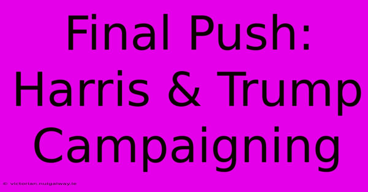 Final Push: Harris & Trump Campaigning