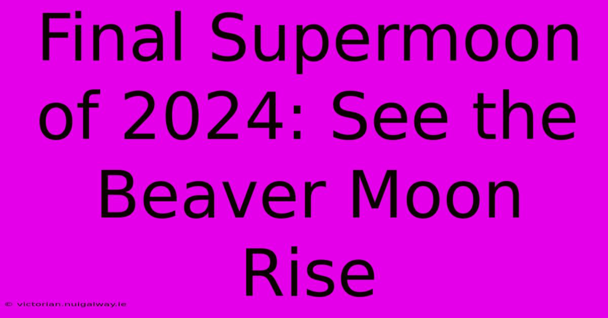 Final Supermoon Of 2024: See The Beaver Moon Rise