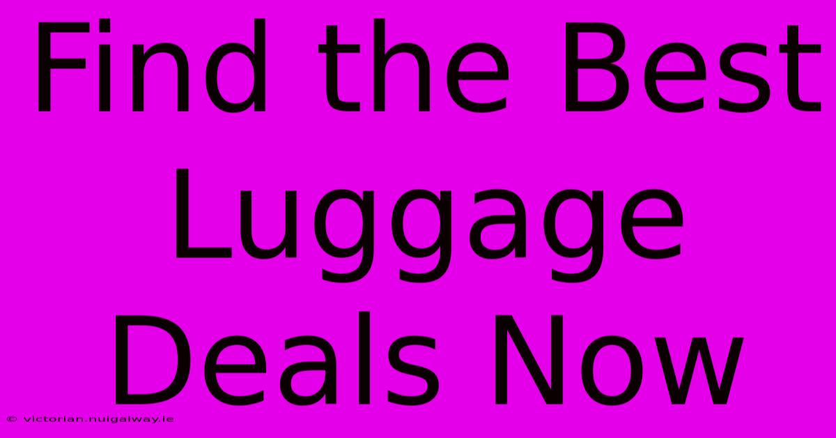 Find The Best Luggage Deals Now