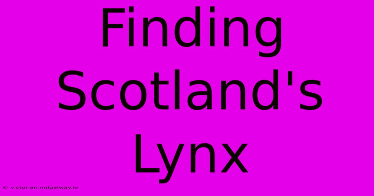 Finding Scotland's Lynx