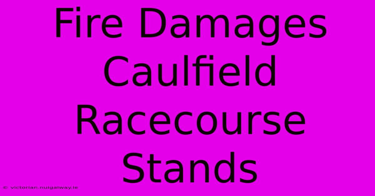 Fire Damages Caulfield Racecourse Stands