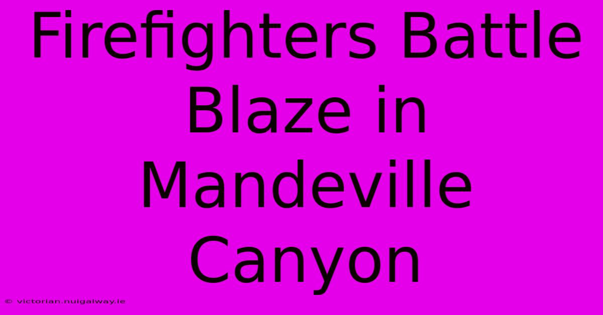 Firefighters Battle Blaze In Mandeville Canyon