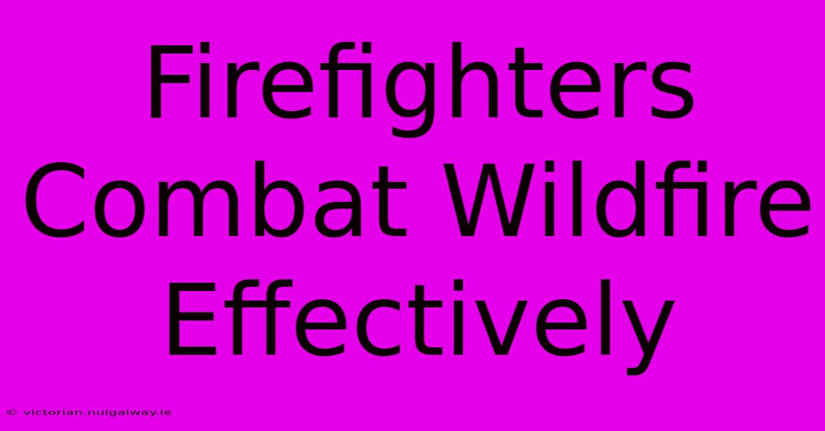 Firefighters Combat Wildfire Effectively