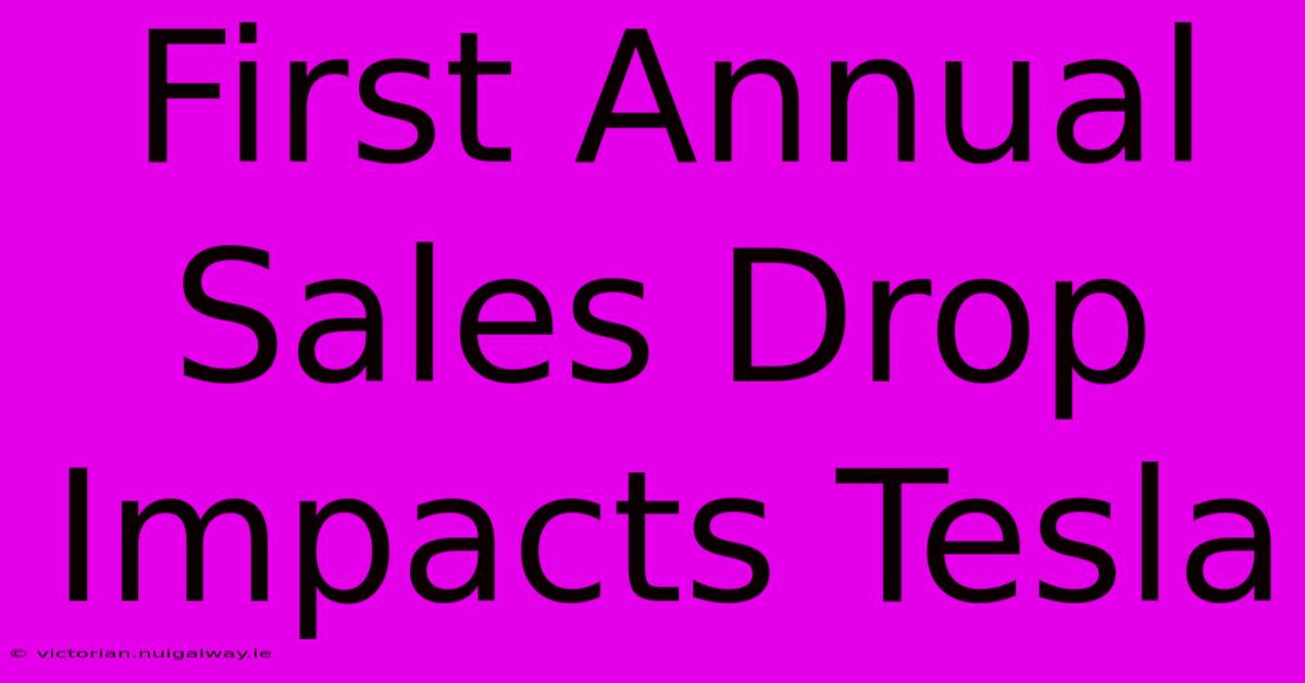 First Annual Sales Drop Impacts Tesla