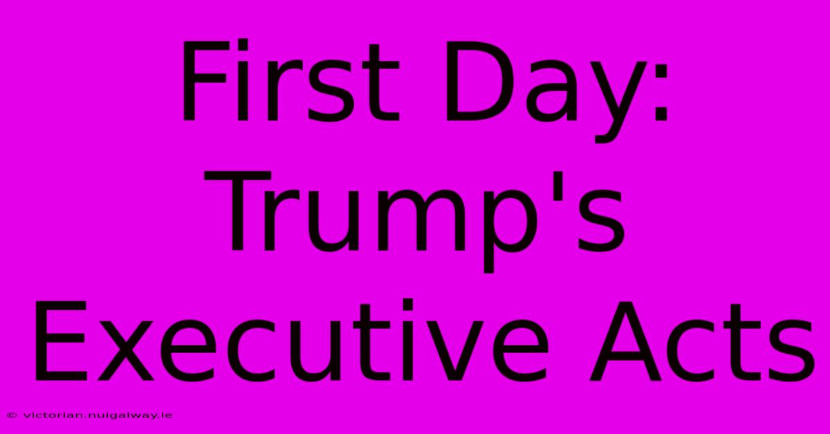 First Day: Trump's Executive Acts