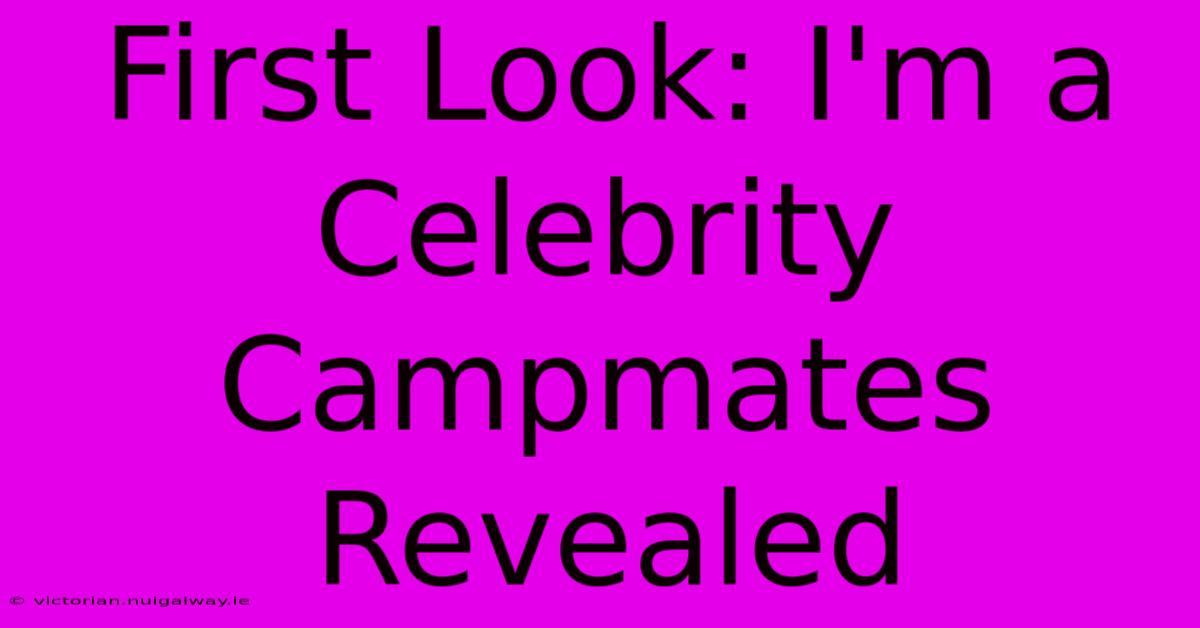 First Look: I'm A Celebrity Campmates Revealed