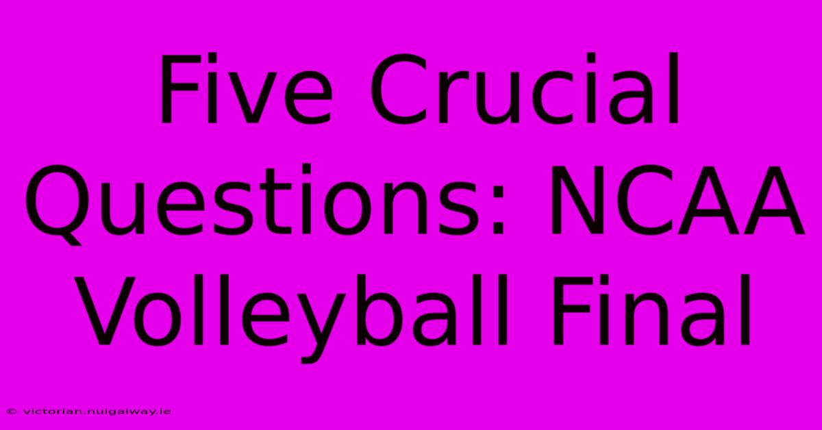 Five Crucial Questions: NCAA Volleyball Final