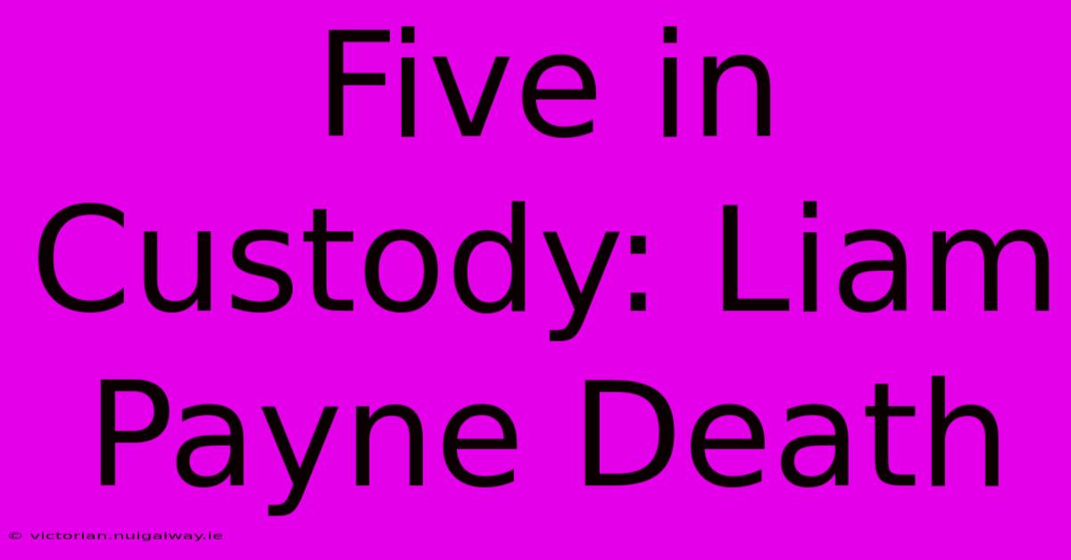 Five In Custody: Liam Payne Death