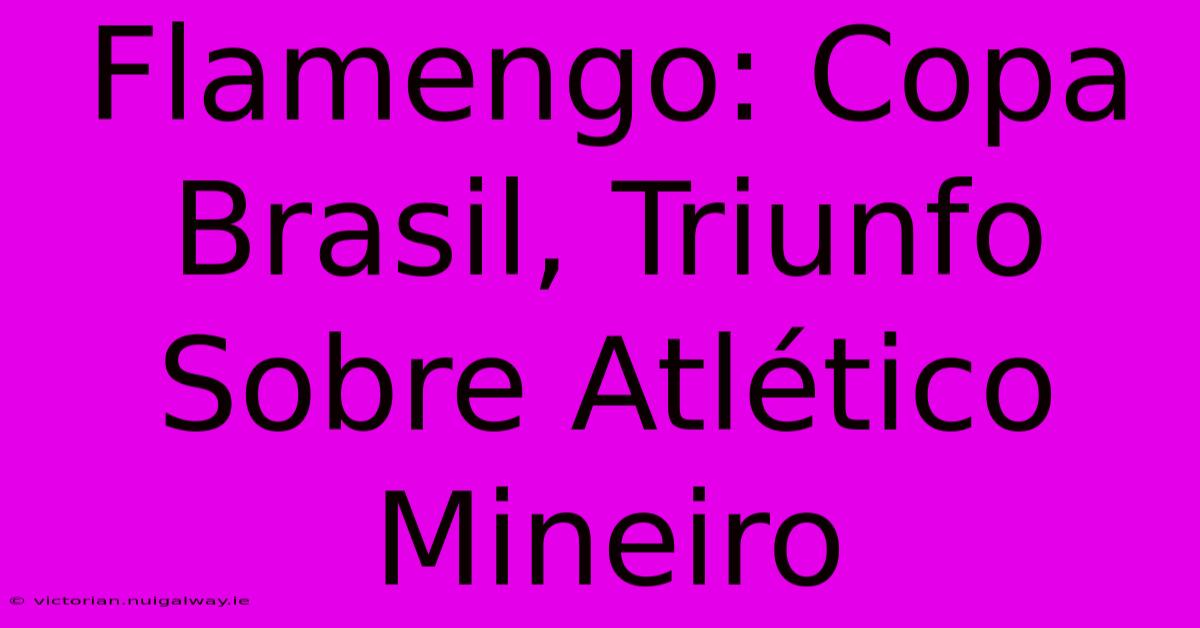 Flamengo: Copa Brasil, Triunfo Sobre Atlético Mineiro