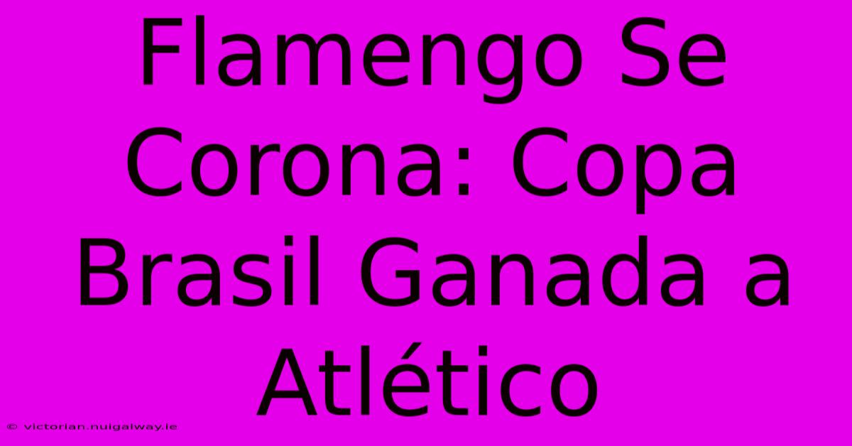 Flamengo Se Corona: Copa Brasil Ganada A Atlético 