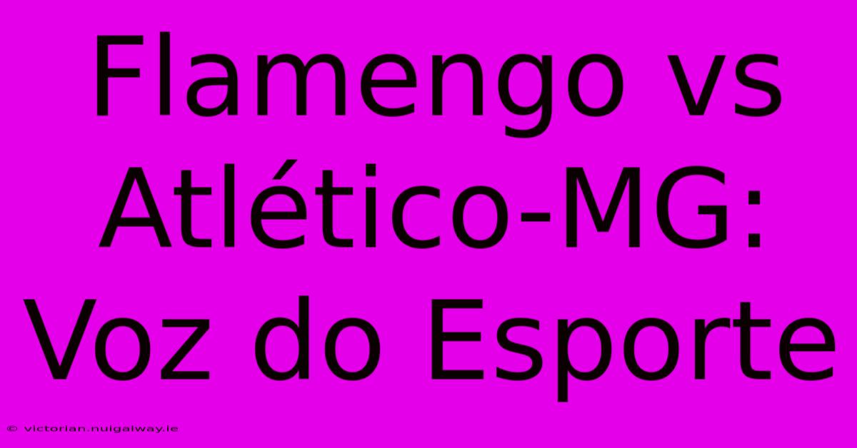 Flamengo Vs Atlético-MG:  Voz Do Esporte 