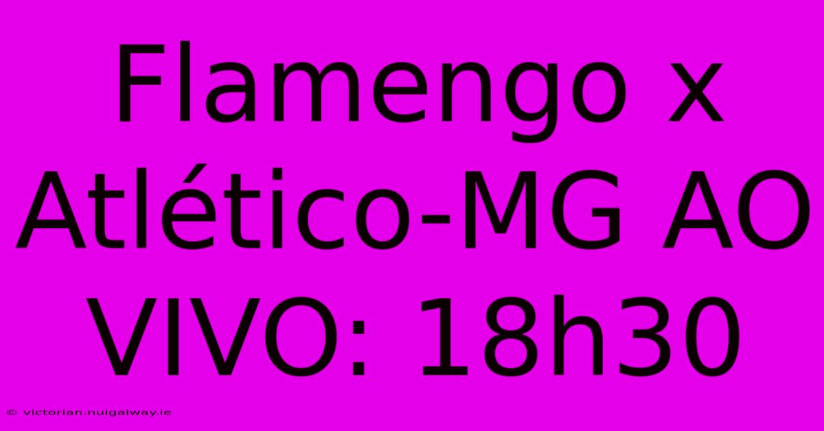 Flamengo X Atlético-MG AO VIVO: 18h30