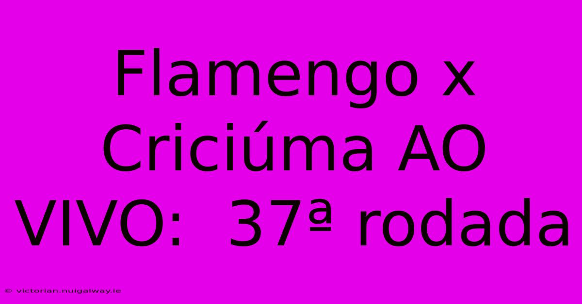 Flamengo X Criciúma AO VIVO:  37ª Rodada