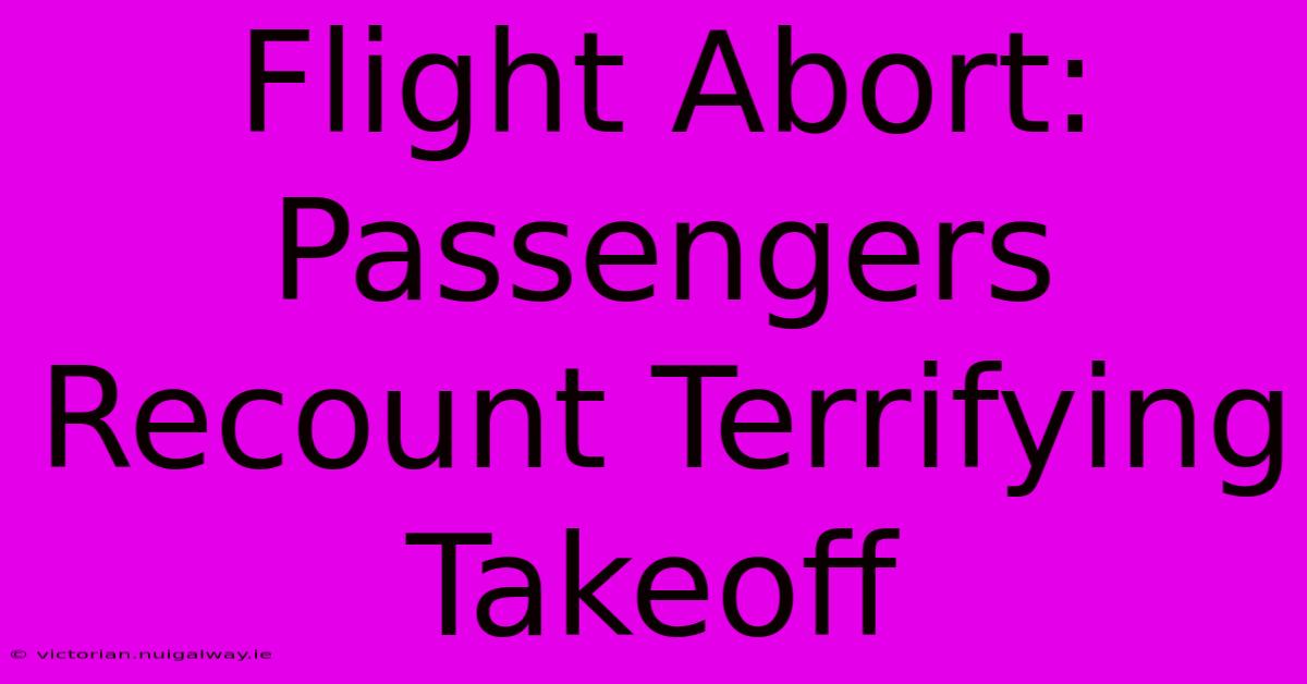 Flight Abort: Passengers Recount Terrifying Takeoff