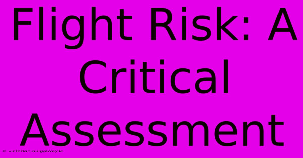 Flight Risk: A Critical Assessment