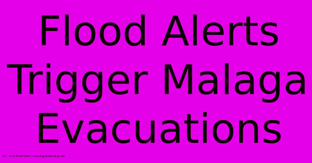 Flood Alerts Trigger Malaga Evacuations 