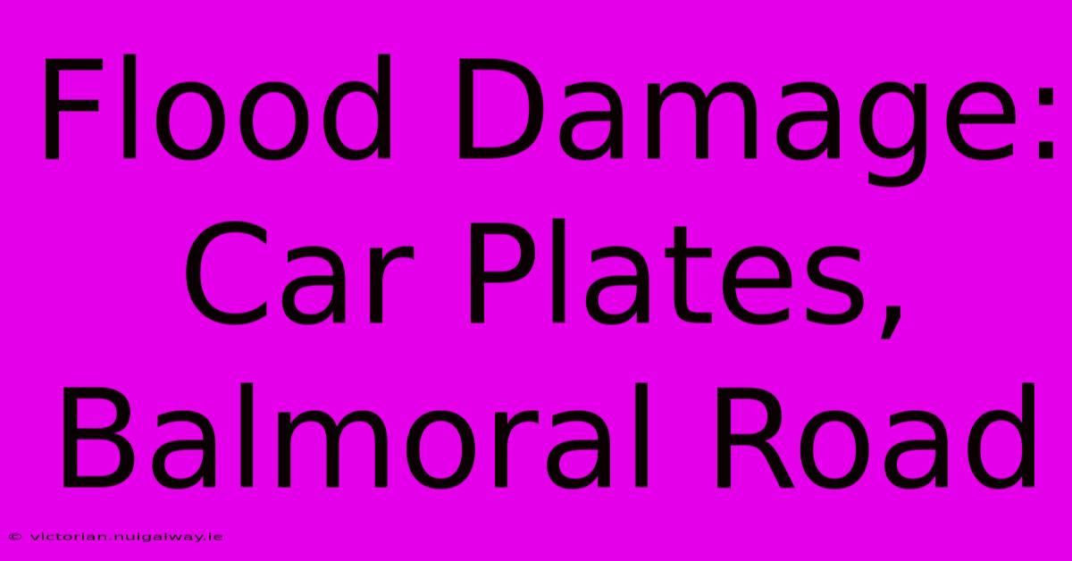 Flood Damage: Car Plates, Balmoral Road