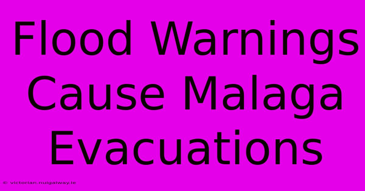 Flood Warnings Cause Malaga Evacuations 