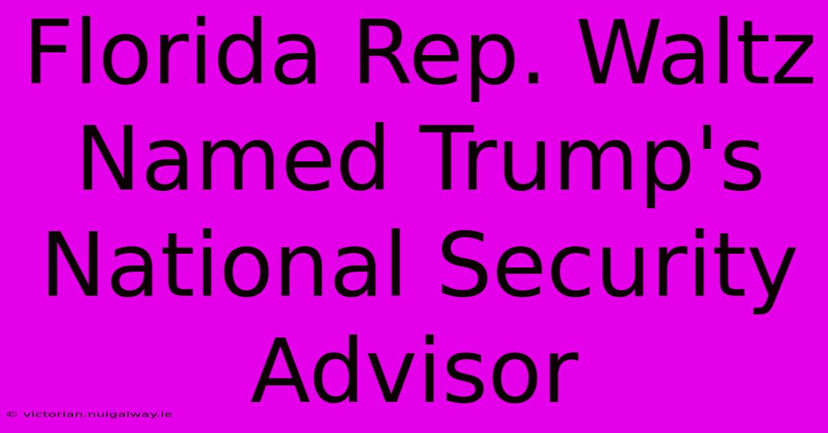 Florida Rep. Waltz Named Trump's National Security Advisor