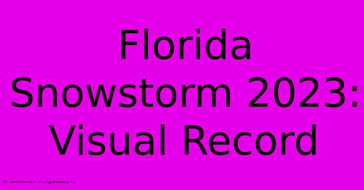 Florida Snowstorm 2023: Visual Record