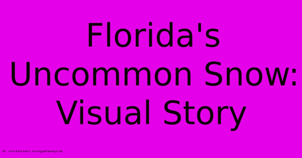 Florida's Uncommon Snow: Visual Story