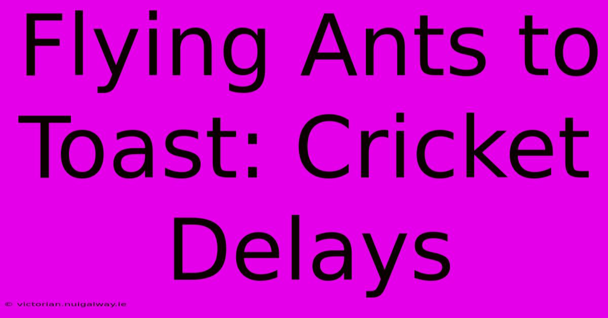 Flying Ants To Toast: Cricket Delays 