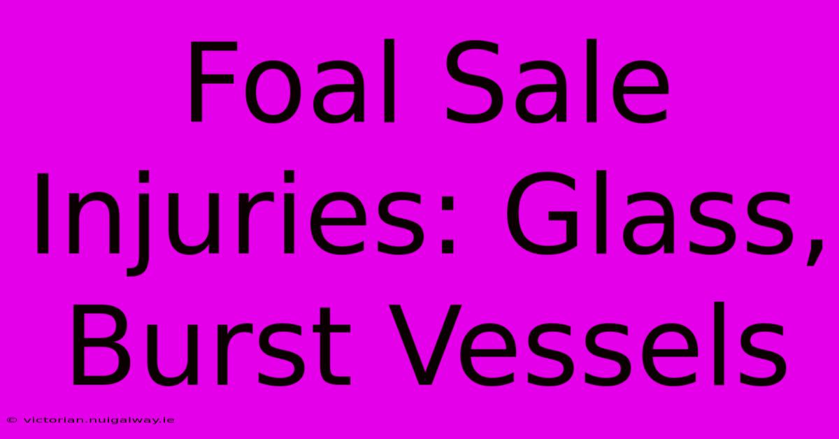 Foal Sale Injuries: Glass, Burst Vessels