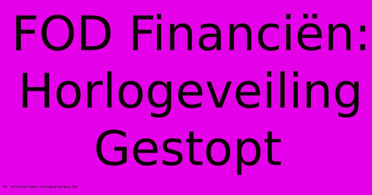 FOD Financiën: Horlogeveiling Gestopt