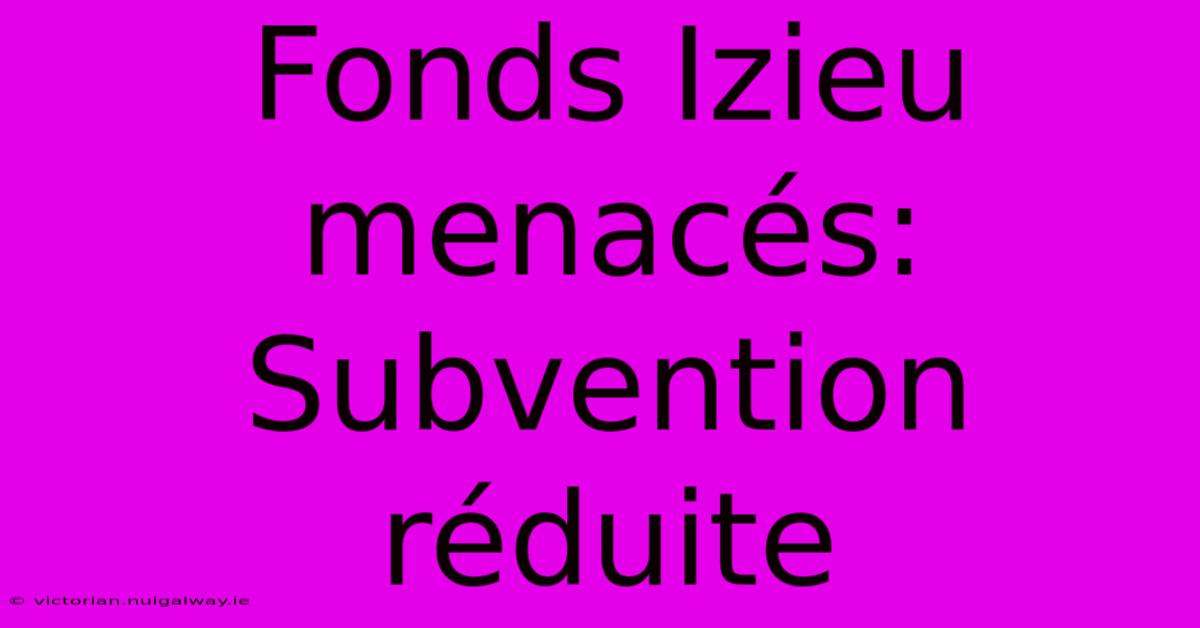 Fonds Izieu Menacés: Subvention Réduite