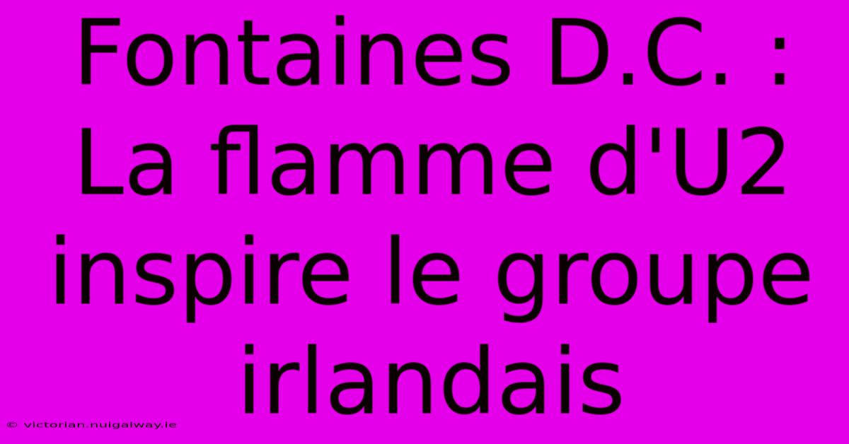 Fontaines D.C. : La Flamme D'U2 Inspire Le Groupe Irlandais