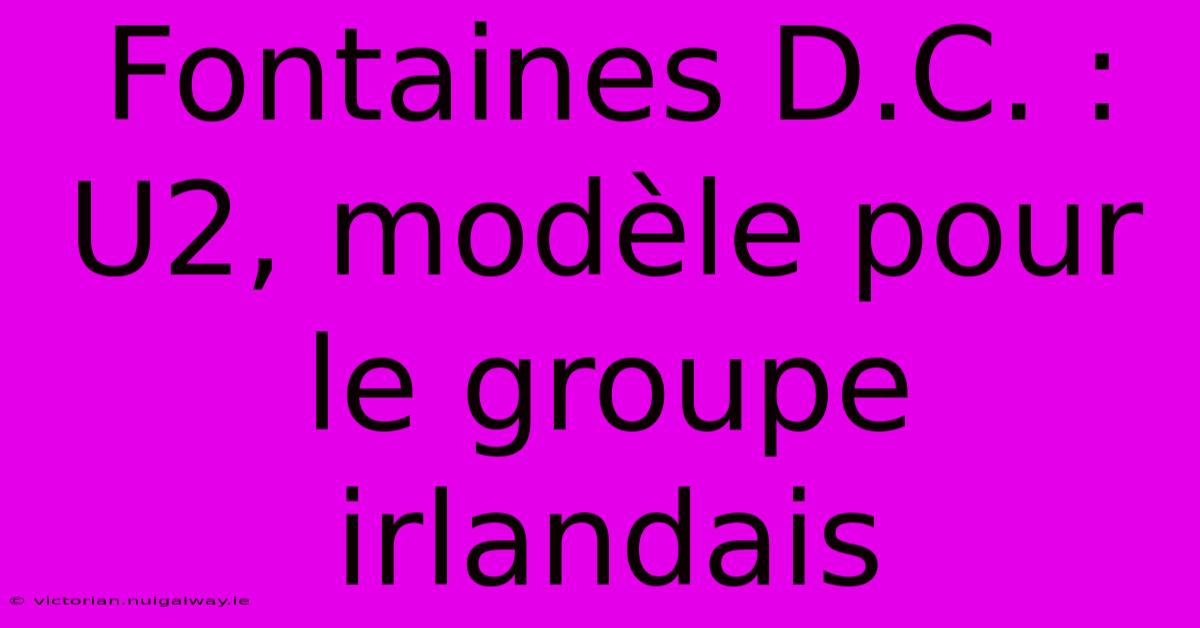 Fontaines D.C. : U2, Modèle Pour Le Groupe Irlandais 