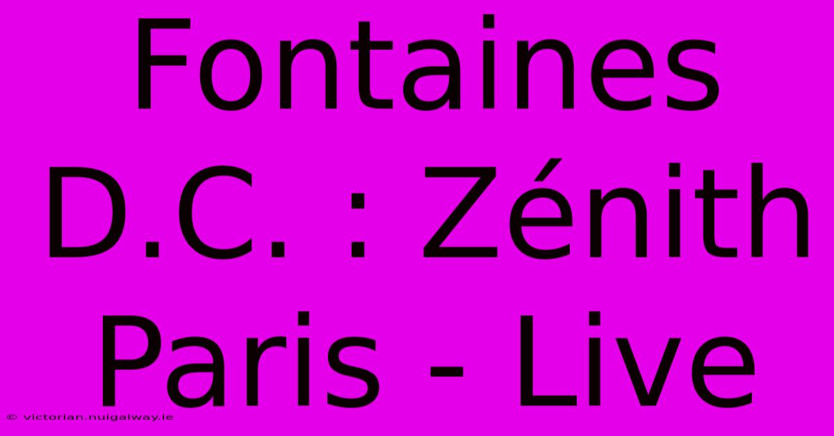 Fontaines D.C. : Zénith Paris - Live 