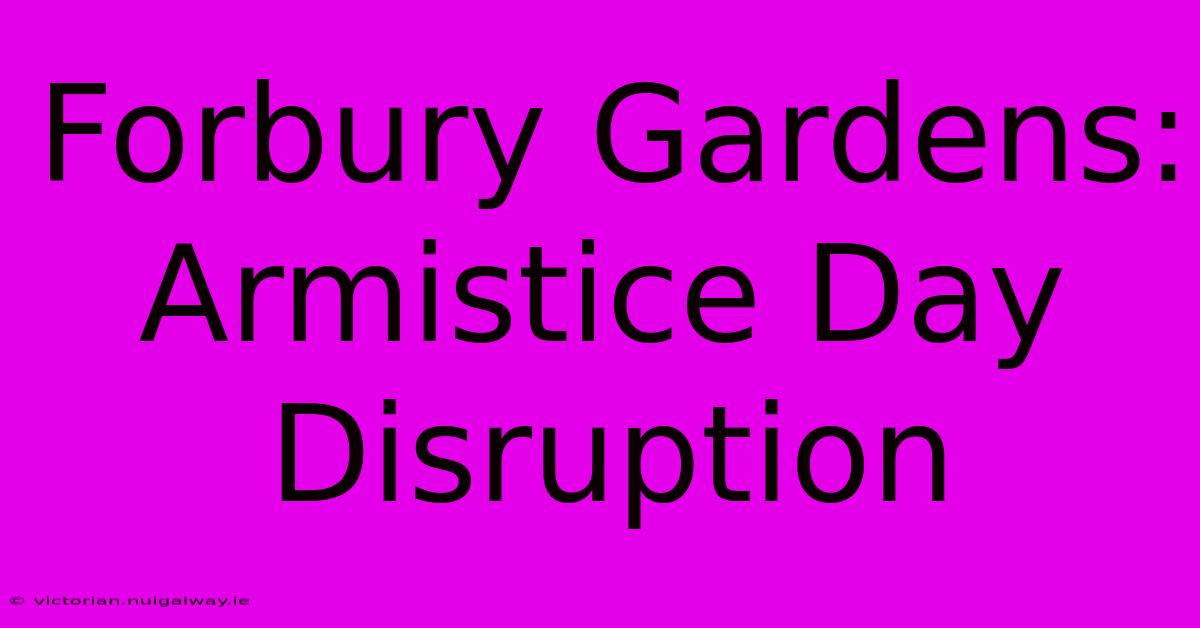 Forbury Gardens: Armistice Day Disruption