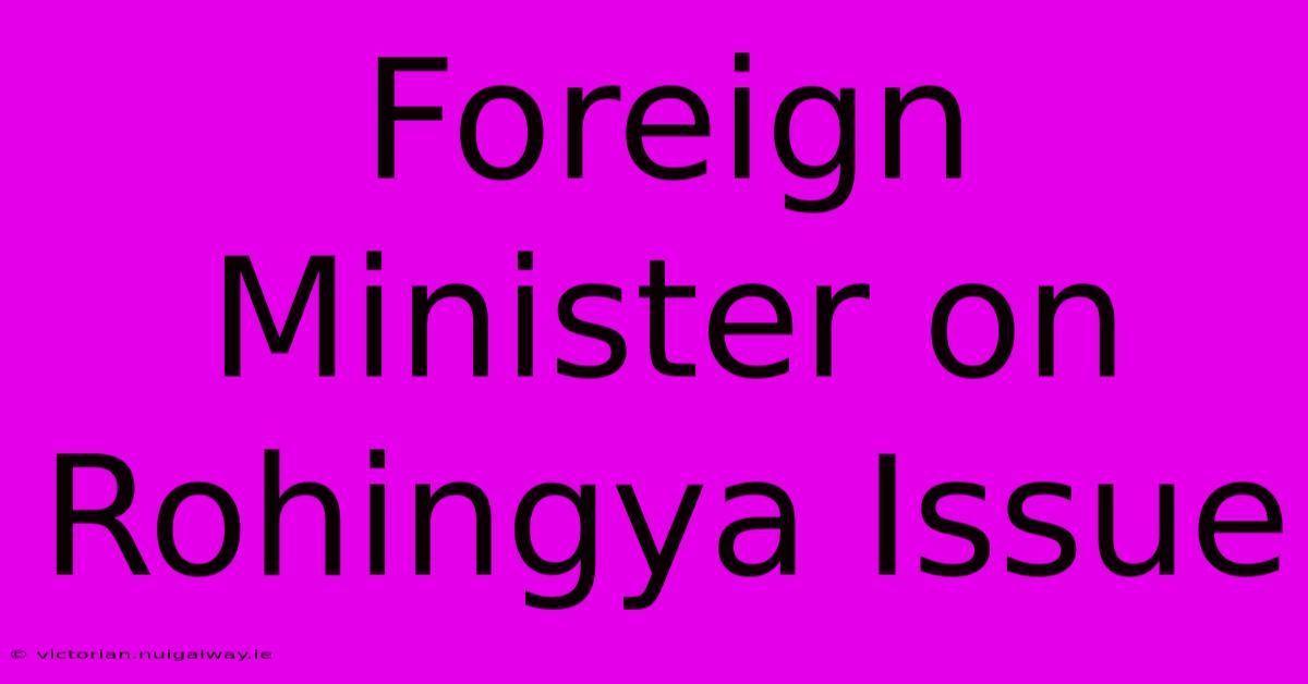 Foreign Minister On Rohingya Issue