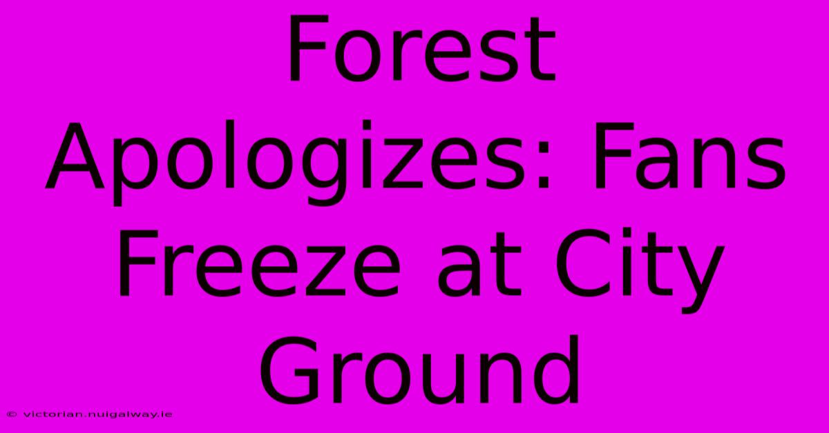 Forest Apologizes: Fans Freeze At City Ground