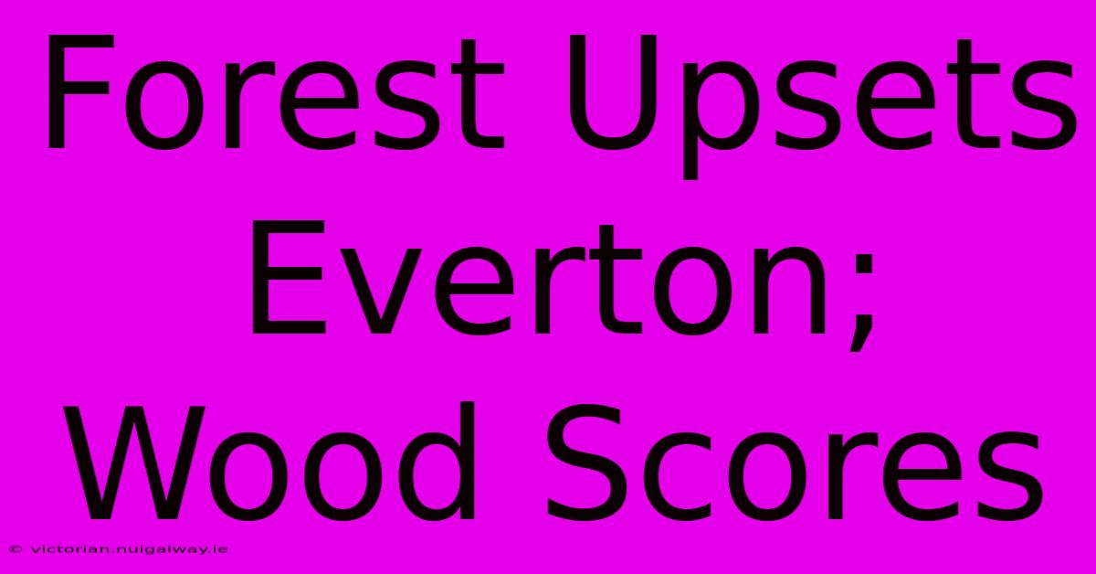 Forest Upsets Everton; Wood Scores