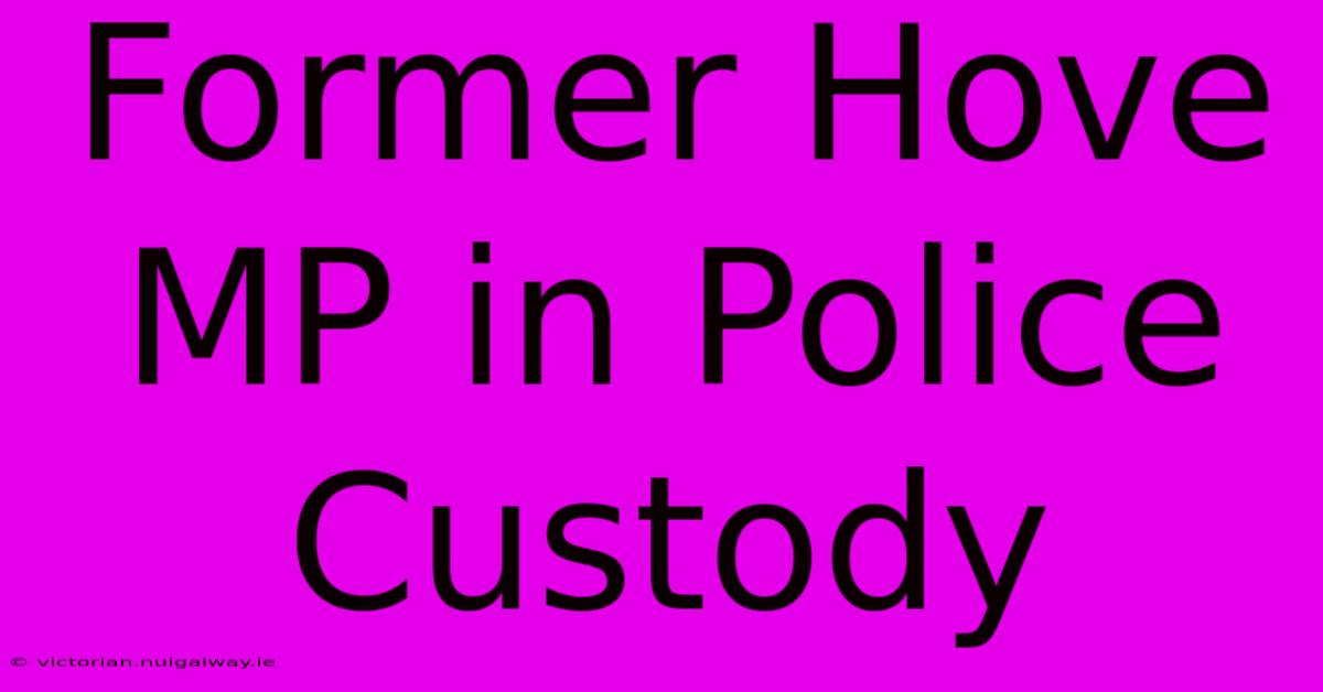 Former Hove MP In Police Custody