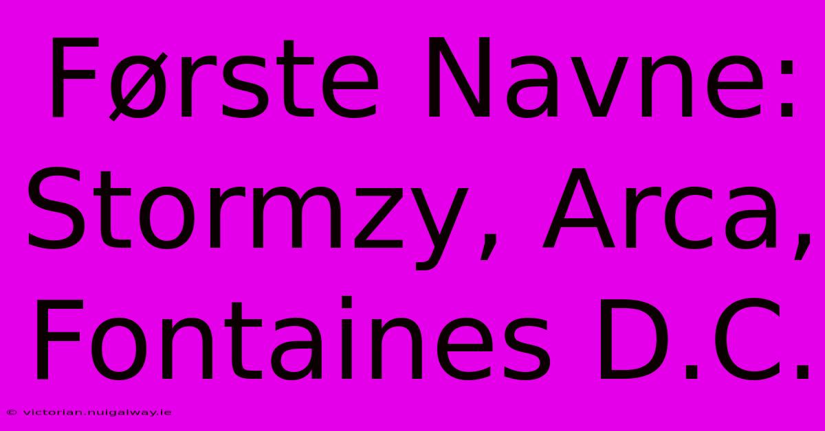 Første Navne: Stormzy, Arca, Fontaines D.C.