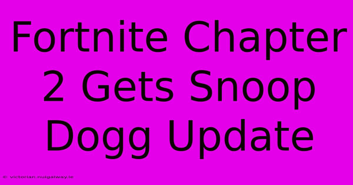 Fortnite Chapter 2 Gets Snoop Dogg Update 