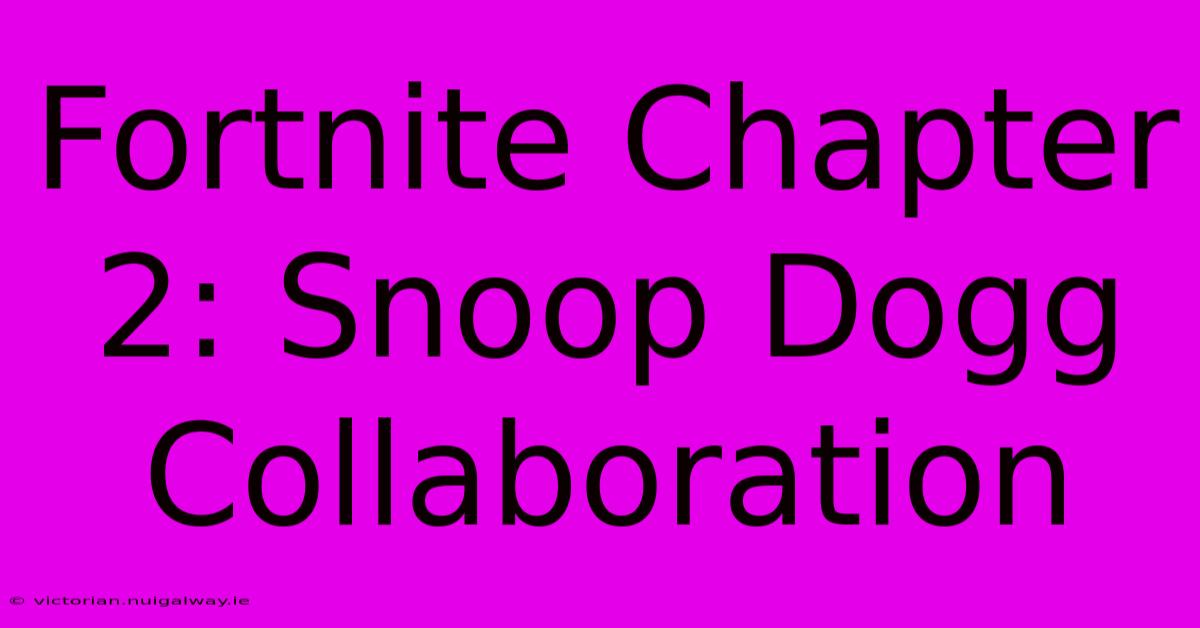 Fortnite Chapter 2: Snoop Dogg Collaboration