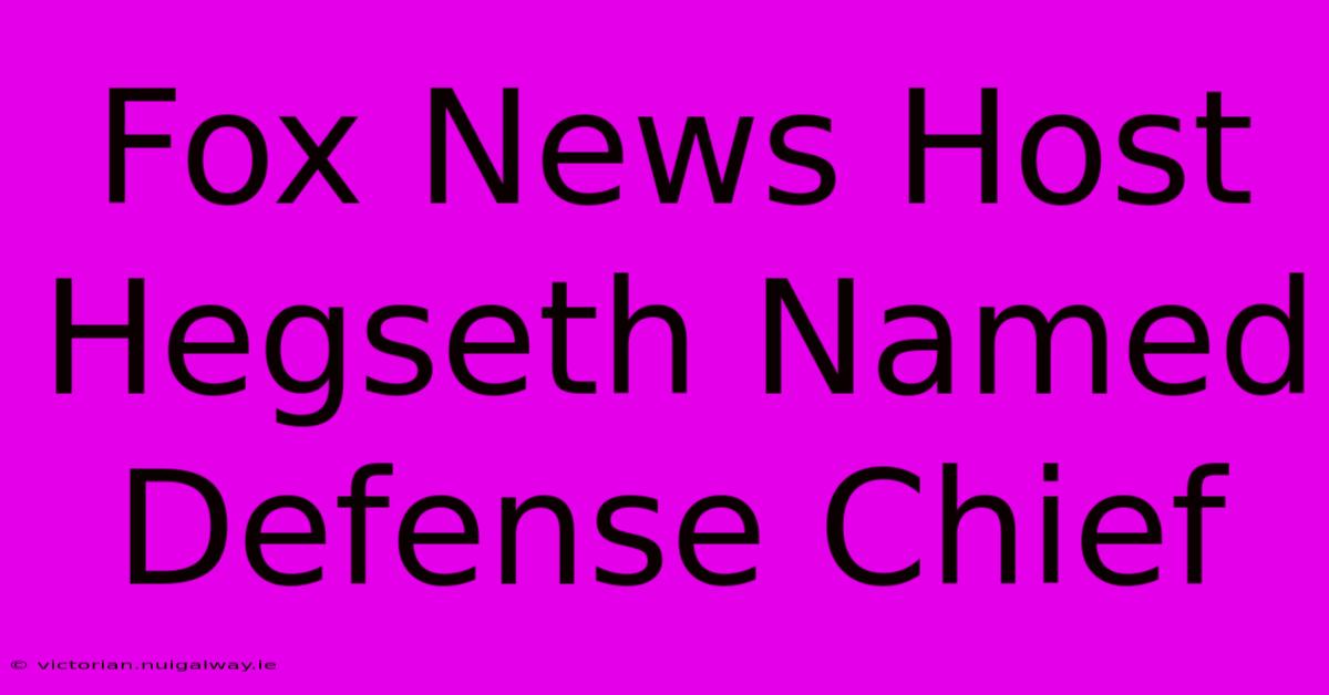 Fox News Host Hegseth Named Defense Chief