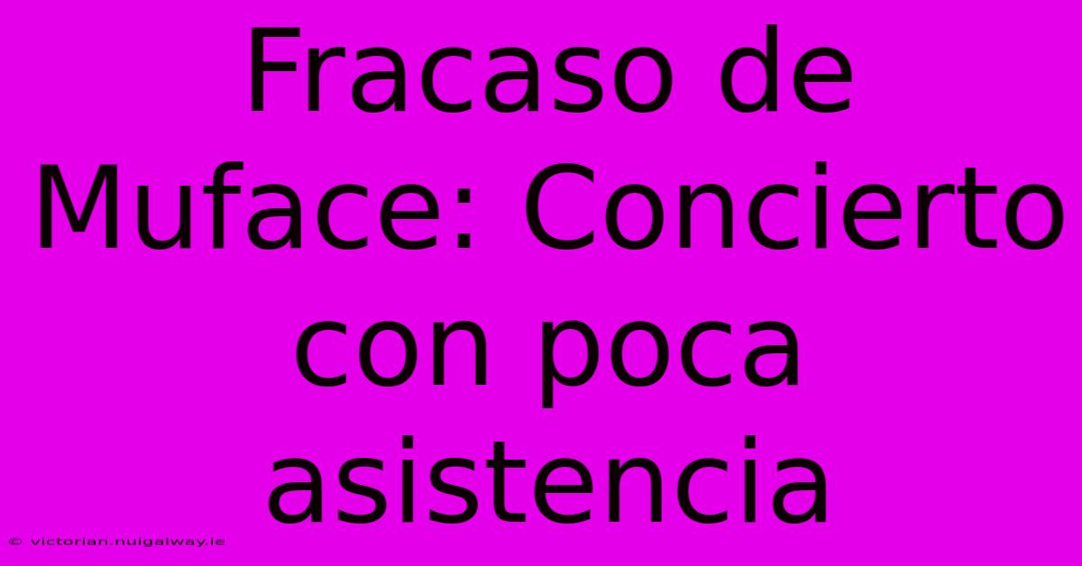 Fracaso De Muface: Concierto Con Poca Asistencia