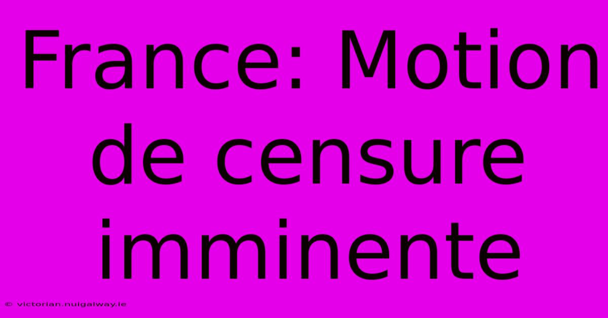 France: Motion De Censure Imminente