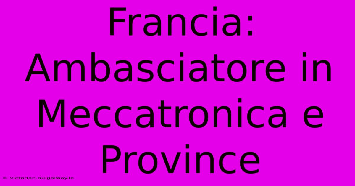 Francia: Ambasciatore In Meccatronica E Province