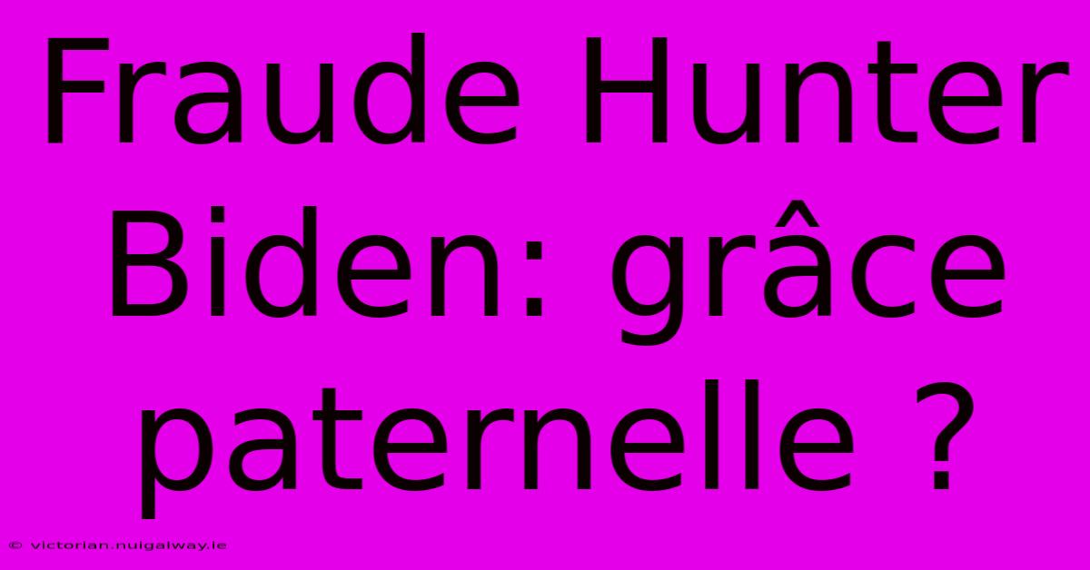 Fraude Hunter Biden: Grâce Paternelle ?