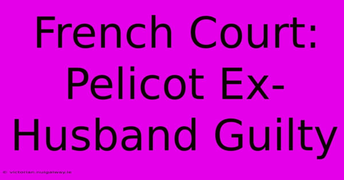 French Court: Pelicot Ex-Husband Guilty