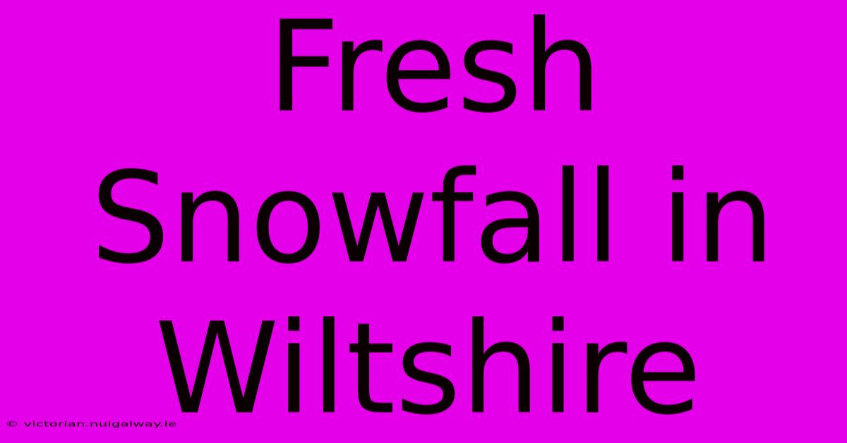 Fresh Snowfall In Wiltshire