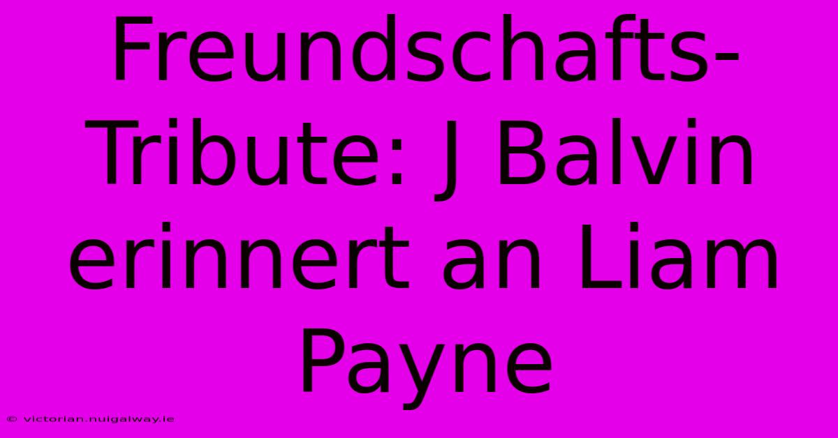 Freundschafts-Tribute: J Balvin Erinnert An Liam Payne 